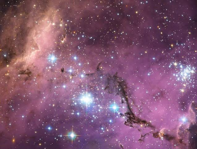 What do the rotating structure and accretion disc around a young star in the Large Magellanic Cloud tell us?